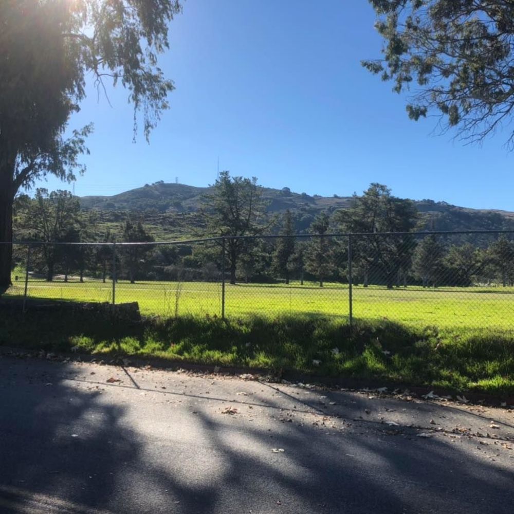 Meet your Posher, Ernesto